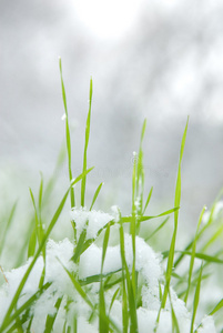 云计算和雪花图片