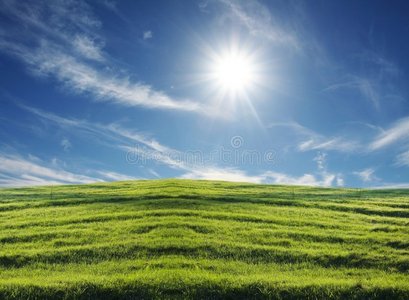 绿地花卉背景阳光从树上照下来采摘新鲜水果的女孩花园秋收果草日落一