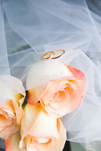 结婚戒指和玫瑰