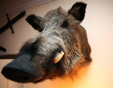 野性潮头冷酷图片