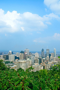 蒙特利尔市区美景图片
