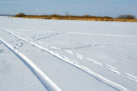 雪地里的轮胎痕迹