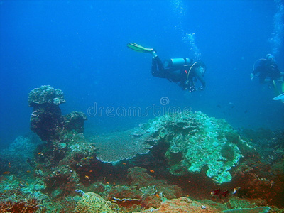 潜水者和珊瑚礁