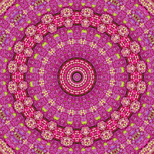 万花筒的花万花筒绣球照片
