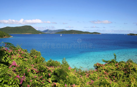 莱斯特湾远景