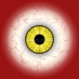 大眼的大眼球照片