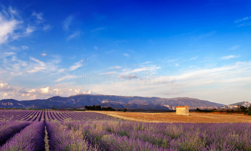 法国普罗旺斯的风景