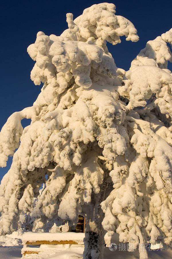 博纳在寒冷阳光明媚的日子里建筑冬天下雪的高山冬季景观冰冻景观山