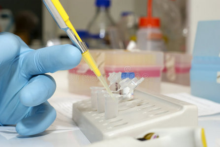生物技术研究室医药技术生物技术的标志鸡肉食品技术激素在生产线上的