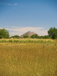 乡村景观