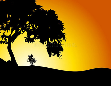 太阳大树大树护小树日落照片