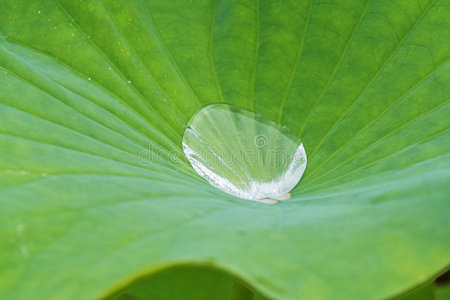 防水板