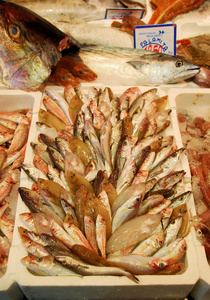 意大利出售的鱼