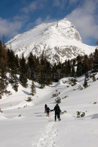 冬季阿尔卑斯山