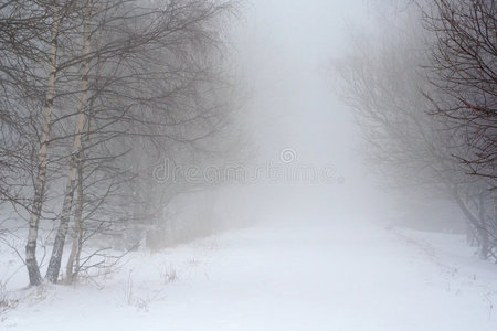 大雾中的雪路图片