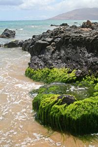 岩石海岸线