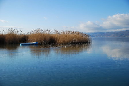 静谧湖畔图片