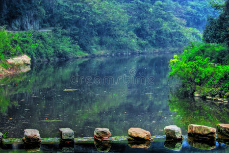 美丽的湖景