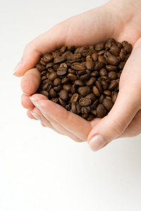人类手中的咖啡豆。