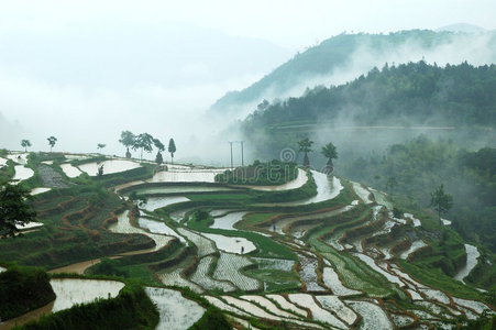 明高梯田