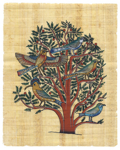 埃及纸莎草照片