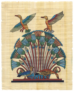 埃及纸莎草照片