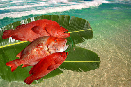 鲜鱼红鲷香蕉叶