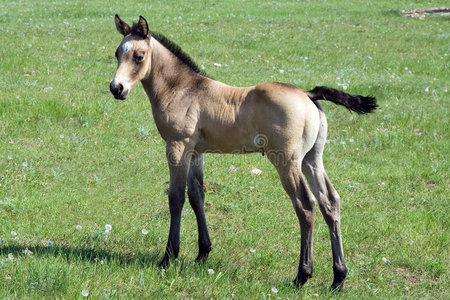 四分之一门框图片