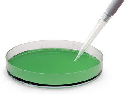 移液管培养皿和移液管照片