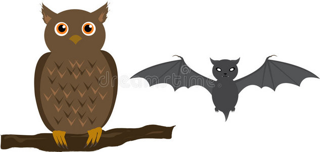 猫头鹰和蝙蝠照片