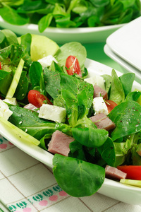 菜叶彩铅做沙拉青菜用的匙形菜叶照片