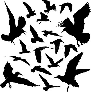 海鸥符号图片-海鸥符号素材-海鸥符号插画-摄图新视界