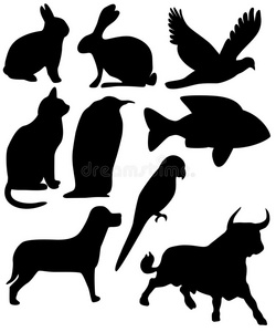 九只黑色动物照片