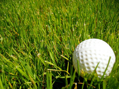 高尔夫球在褶皱里