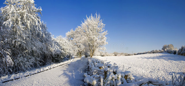 雪