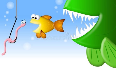 饥饿的鱼和虫照片