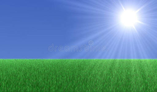 明亮的正午光草地上的太阳照片