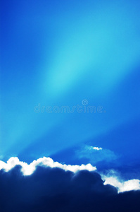 阳光普照森林里有美丽的树木3d 插图水下场