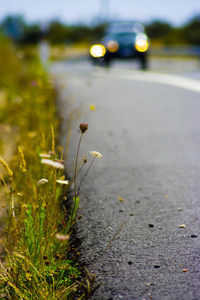 露天道路