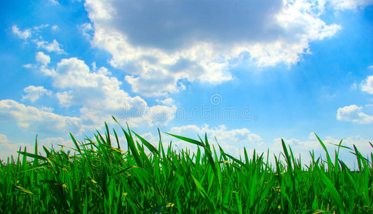 草与天