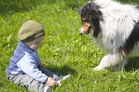 男婴和宠物狗图片