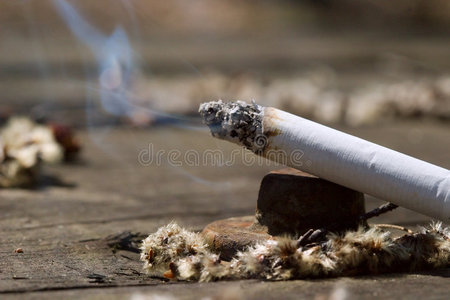 特写宏灰图片-特写宏灰素材-特写宏灰插画-摄图新视界