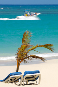 沙滩上的日光躺椅和棕榈树