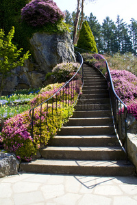 花园楼梯