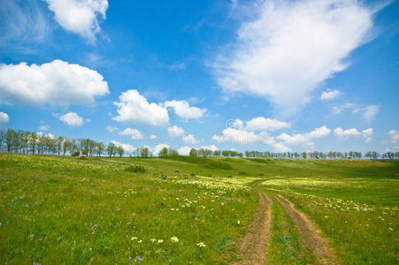 夏季景观