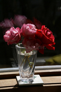 花瓶里的玫瑰
