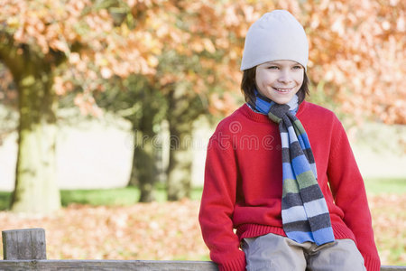 坐在篱笆上的小男孩