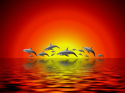 海豚与海洋插图