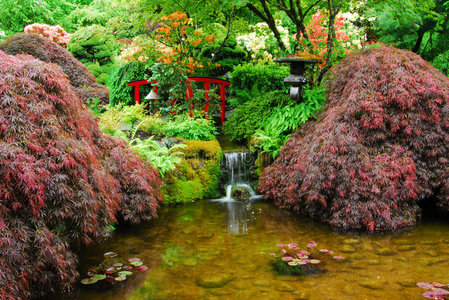 布查特花园的日本花园