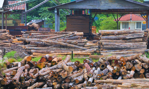 木材锯木厂系列7